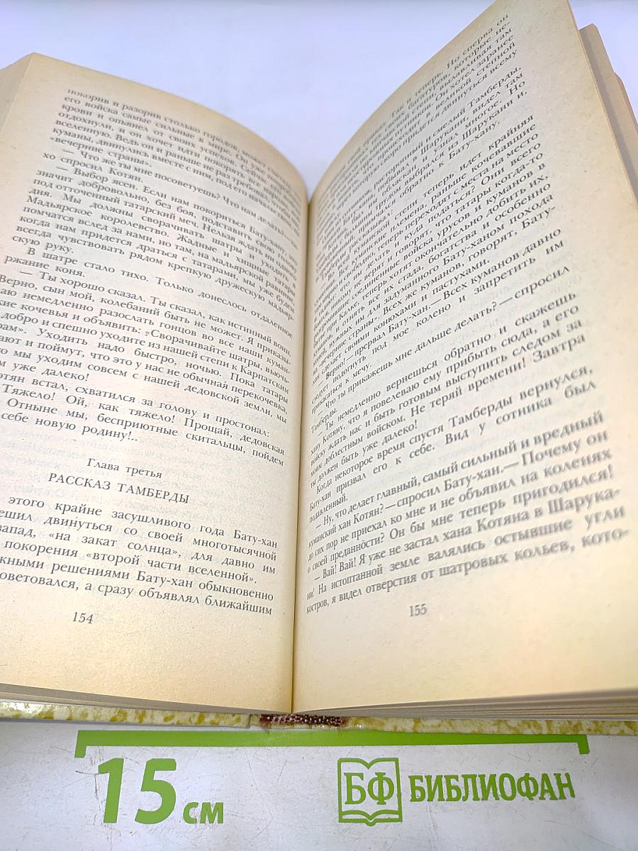 К последнему морю. Юность полководца