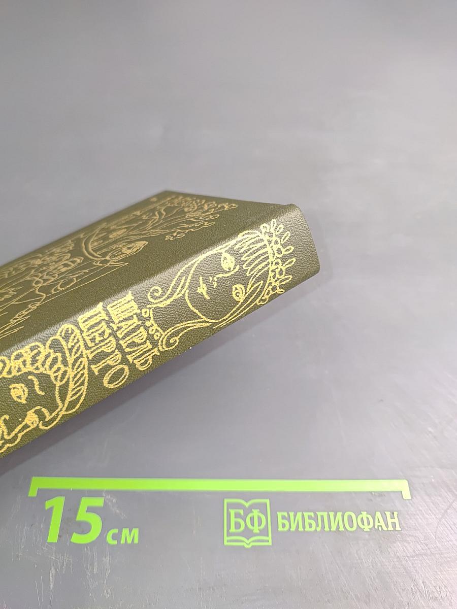 Сказки матушки Гусыни, или Истории и сказки былых времен с поучениями