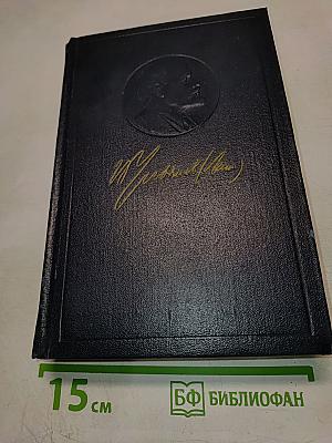 Полное собрание сочинений. Том 51: Письма. Июль 1919 - Ноябрь 1920