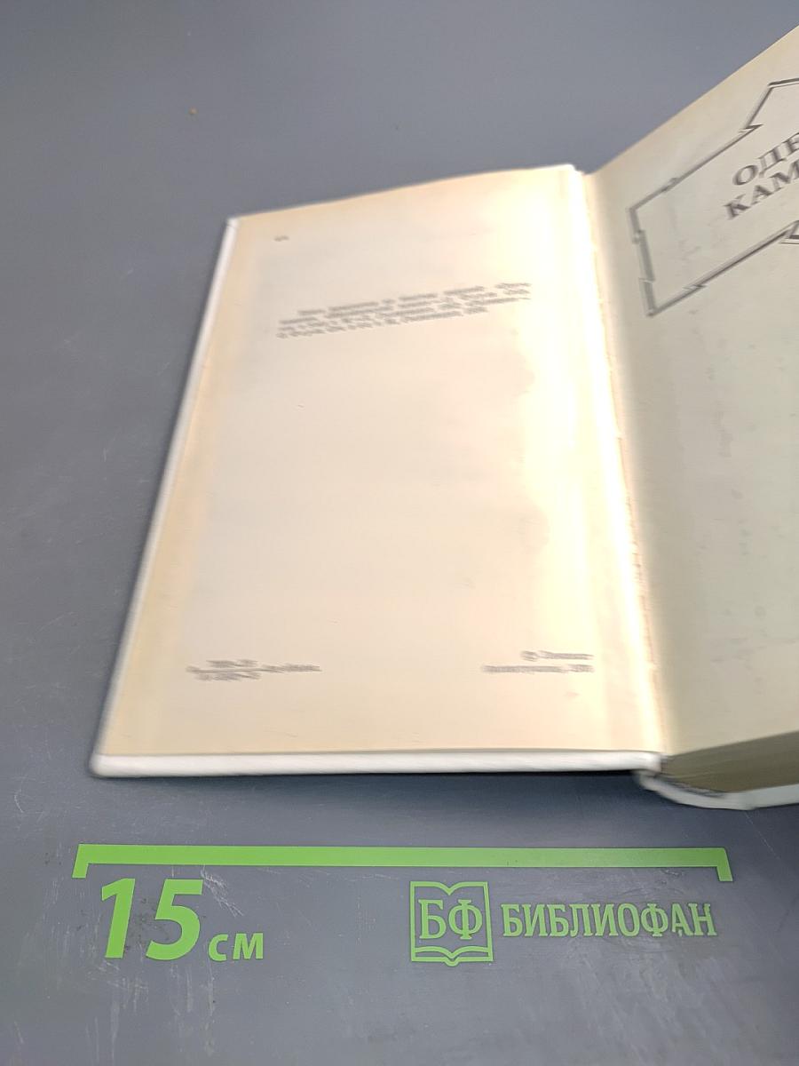 Одеты камнем. Радищев. Михайловский замок