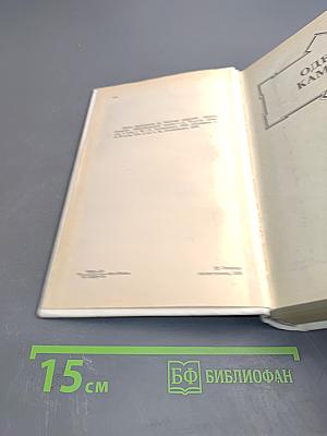 Одеты камнем. Радищев. Михайловский замок