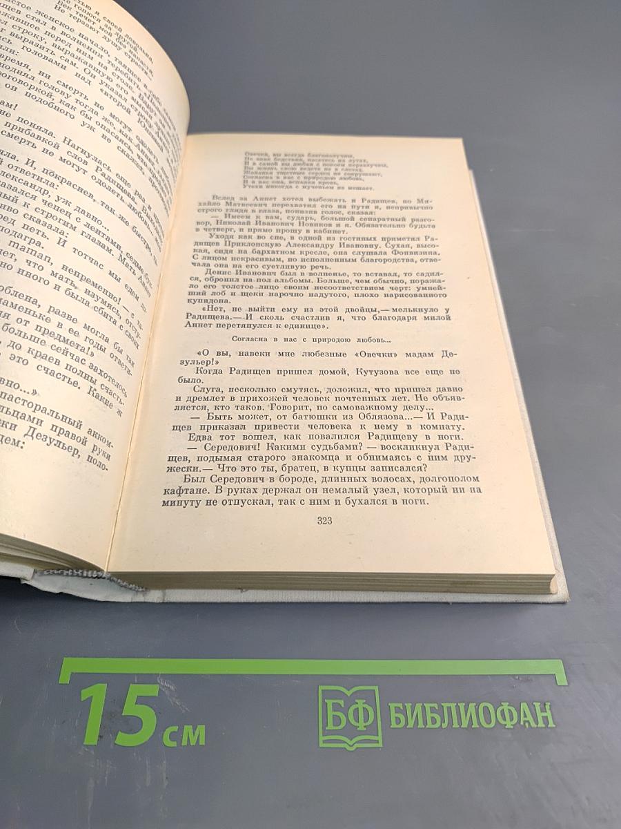 Одеты камнем. Радищев. Михайловский замок