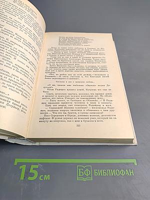 Одеты камнем. Радищев. Михайловский замок