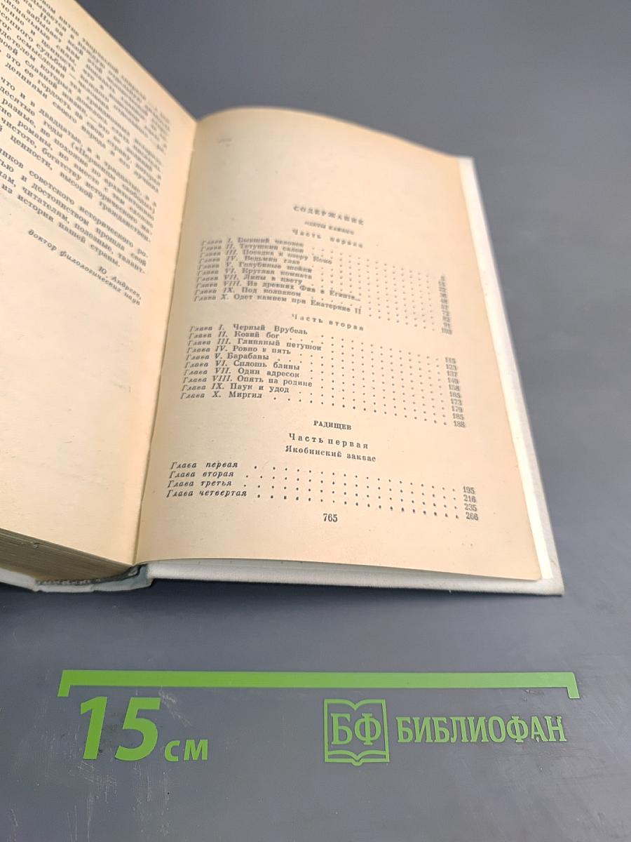 Одеты камнем. Радищев. Михайловский замок