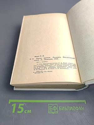 Одеты камнем. Радищев. Михайловский замок