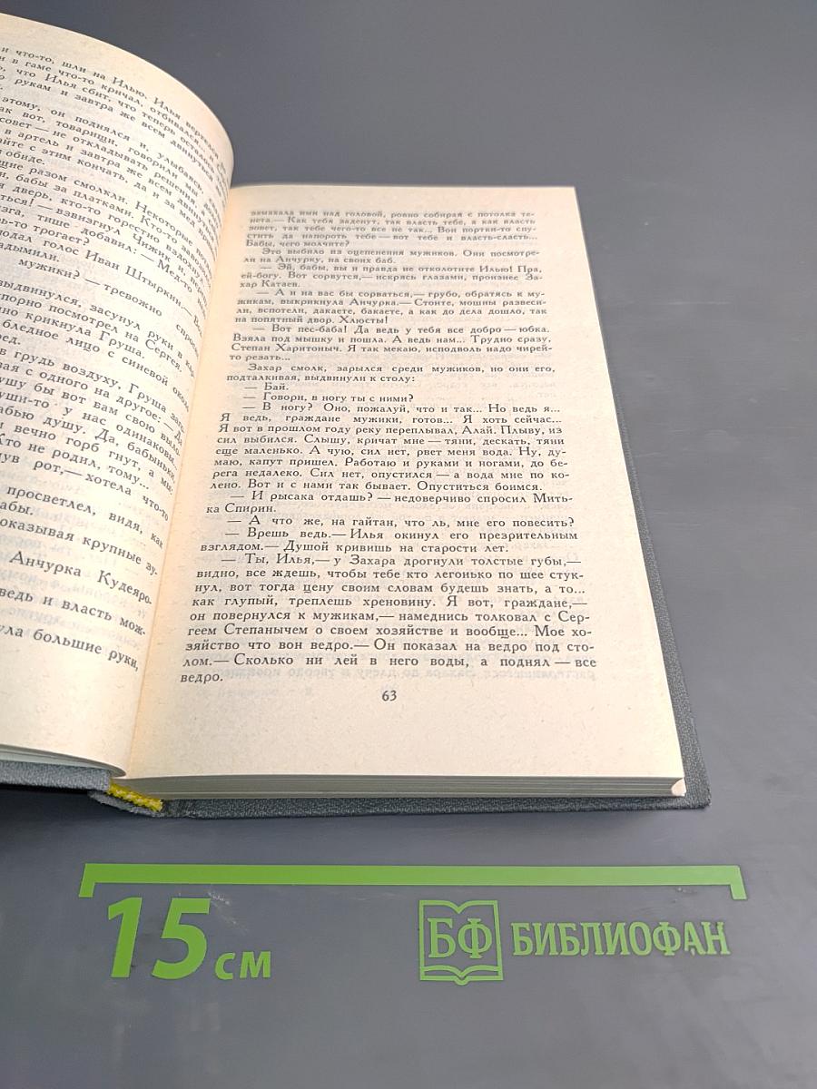 Собрание сочинений в шести томах. Том 2. Бруски