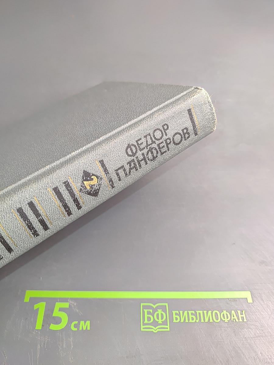 Собрание сочинений в шести томах. Том 2. Бруски