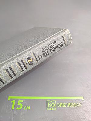 Собрание сочинений в шести томах. Том 2. Бруски