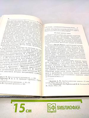 Москва в творчестве А.М. Васнецова
