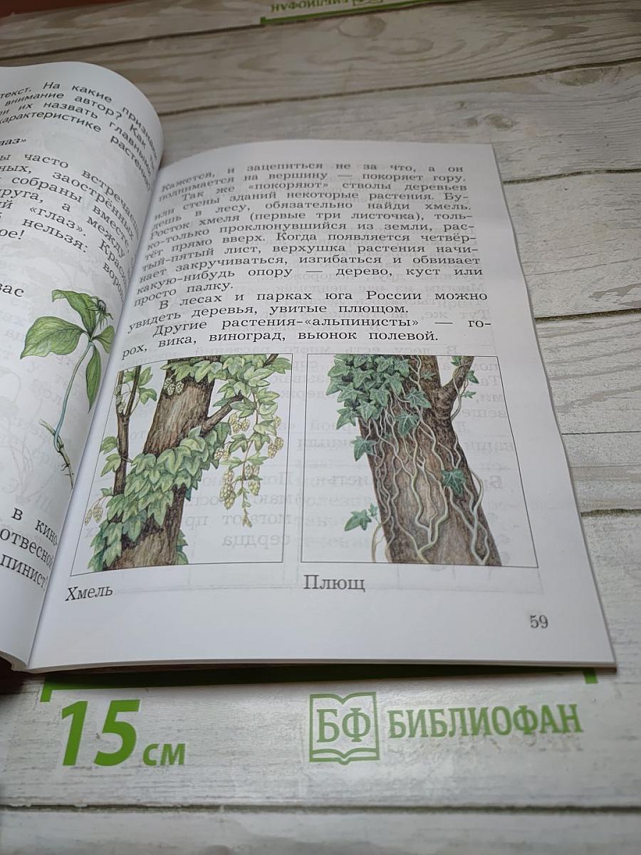Окружающий мир 2 класс. Часть вторая