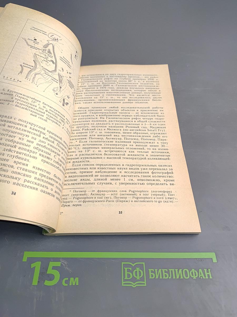 Оазисы на дне океана