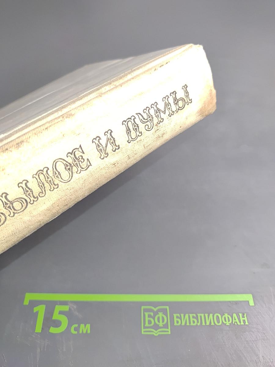 Былое и думы