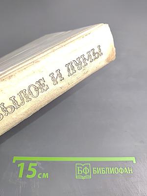 Былое и думы