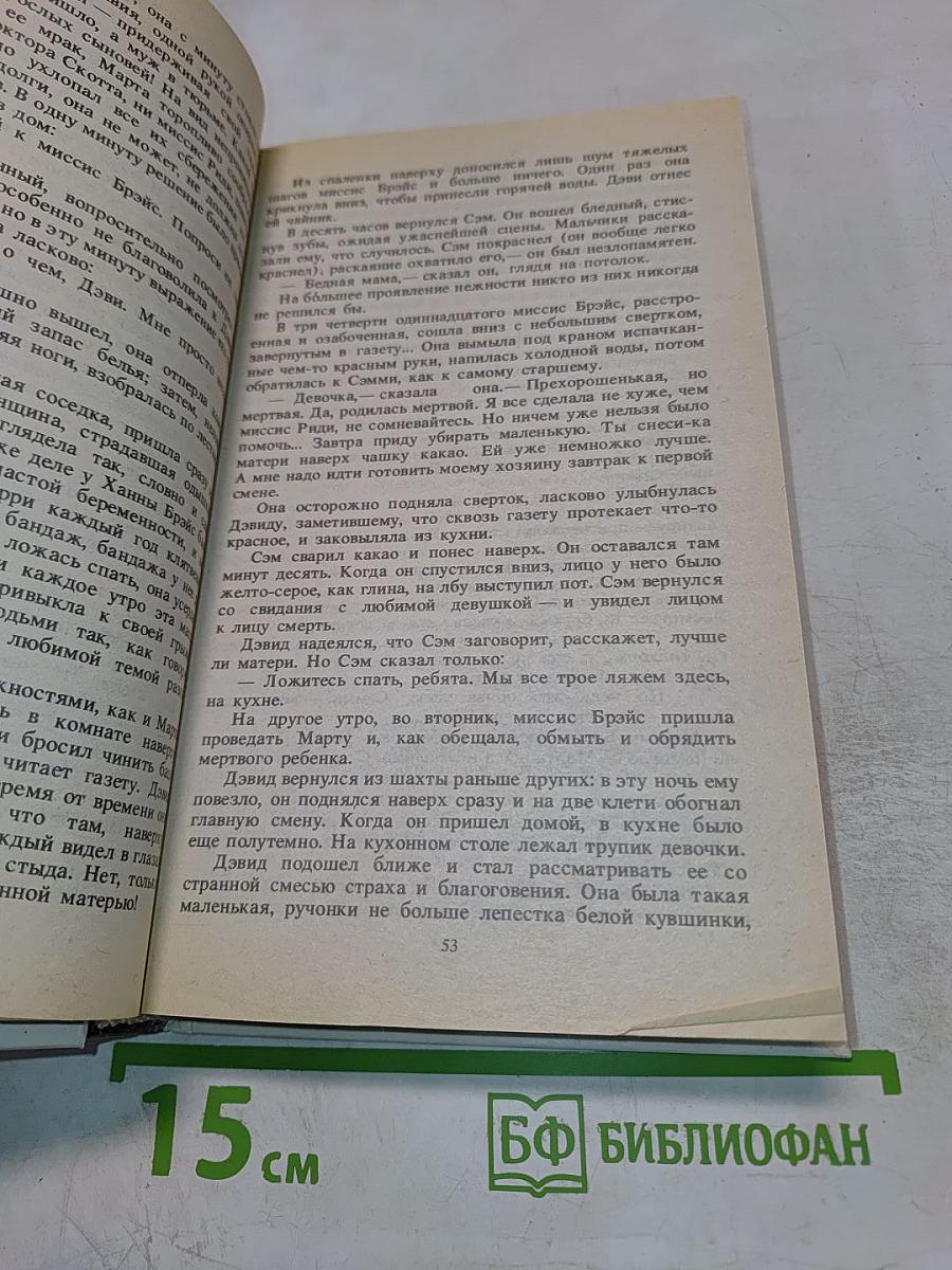 Звезды смотрят вниз