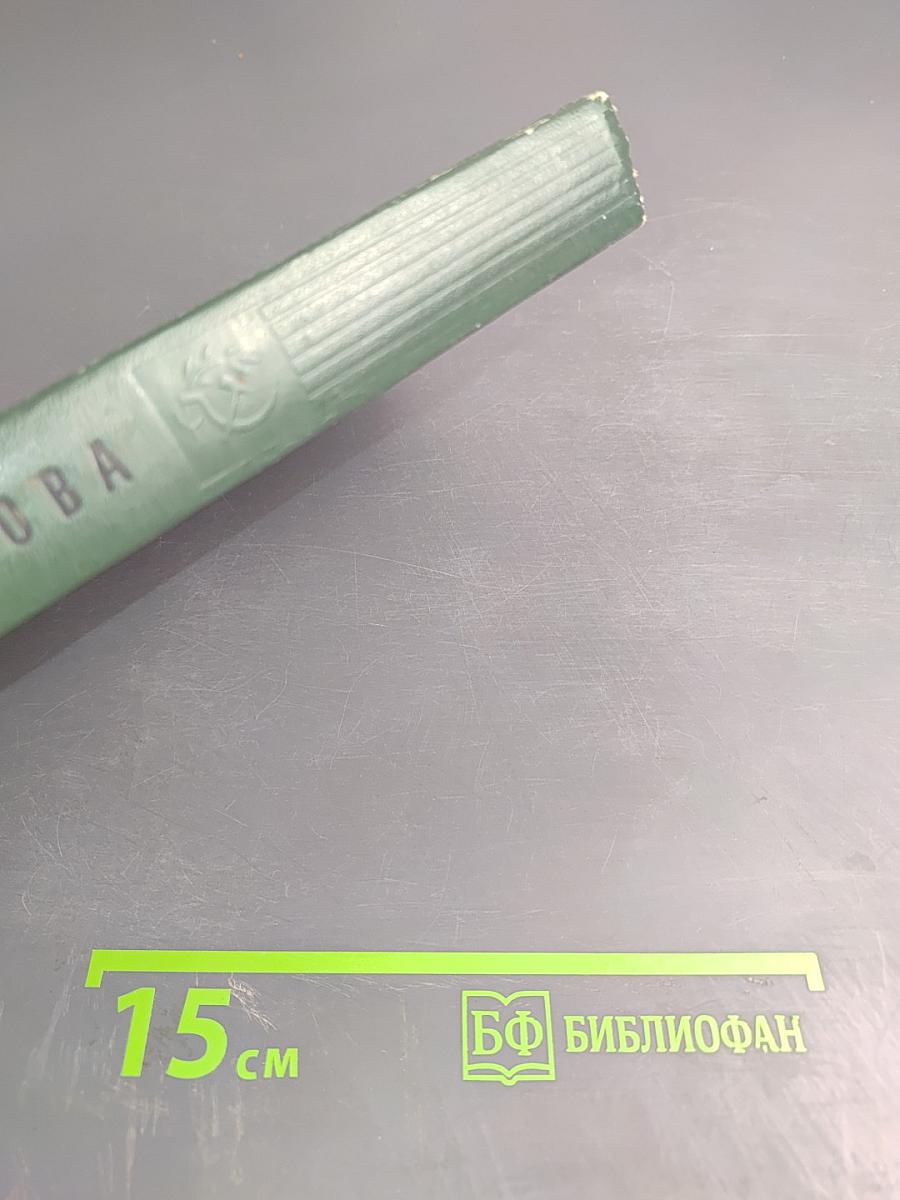 Кружилиха. Спутники