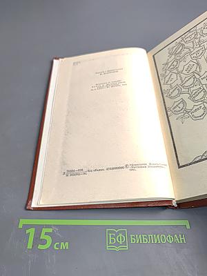 Железный король; Узница Шато-Гайара