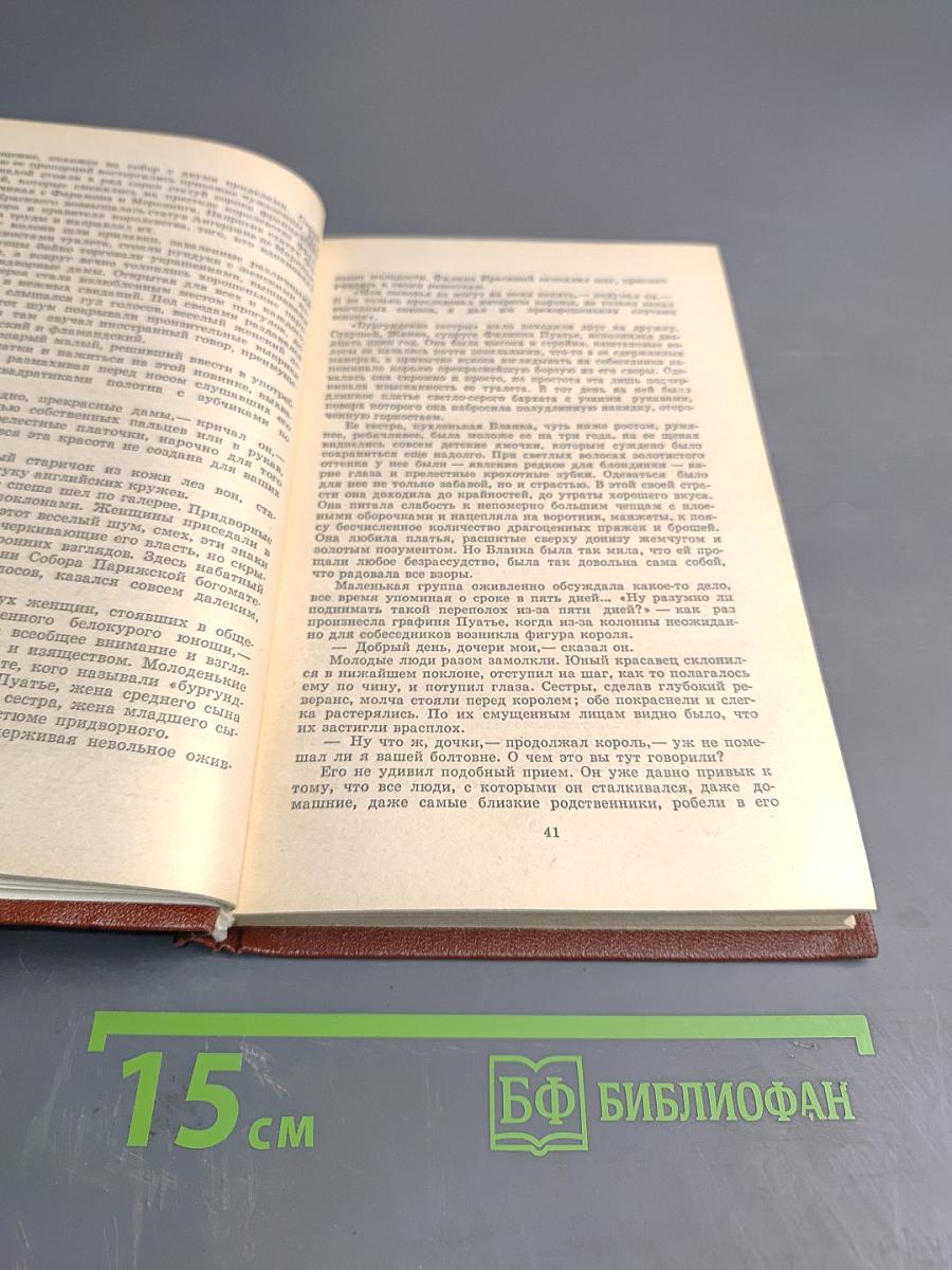 Железный король; Узница Шато-Гайара