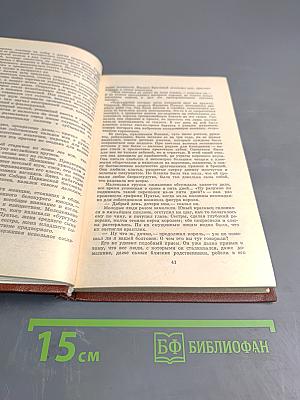 Железный король; Узница Шато-Гайара