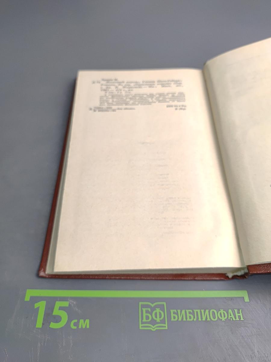 Железный король; Узница Шато-Гайара