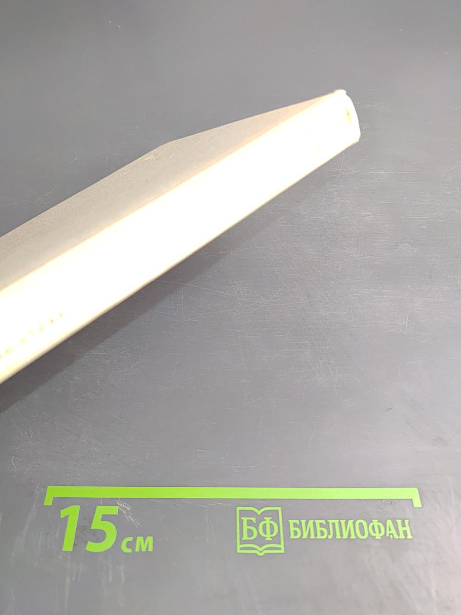 Строгий талант