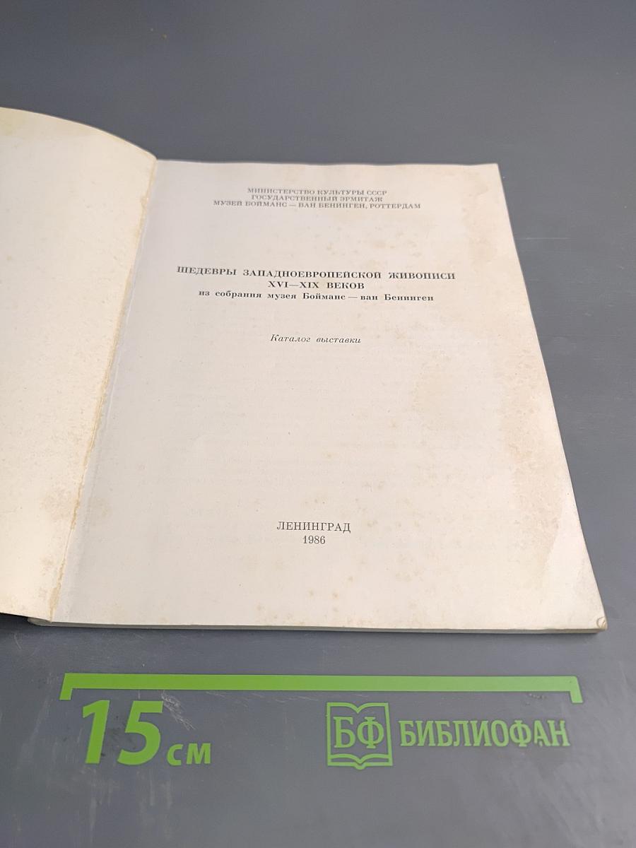 Шедевры западноевропейской живописи XVI-XIX веков из собрания музея Бойманс - ван Бёнинген