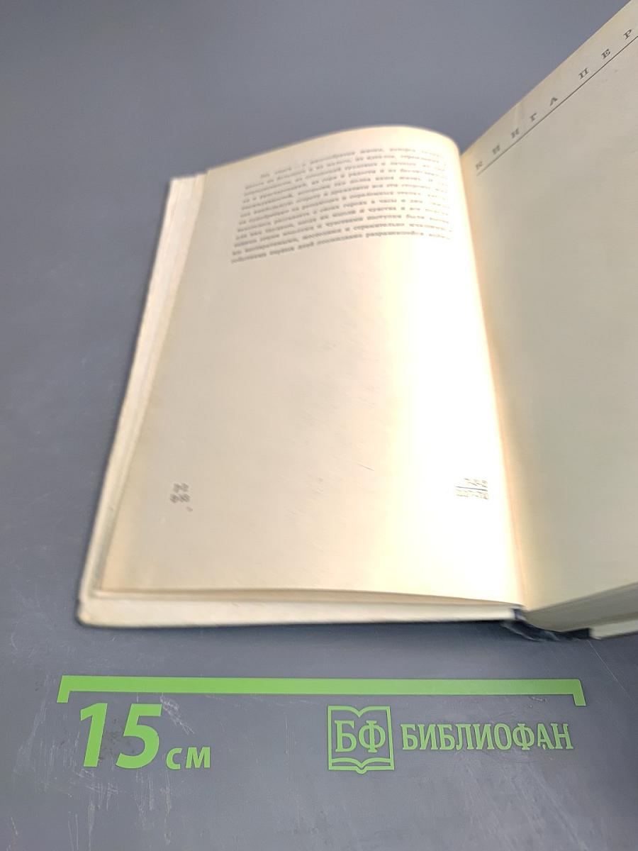 Пепел над городом