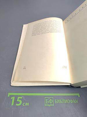 Пепел над городом