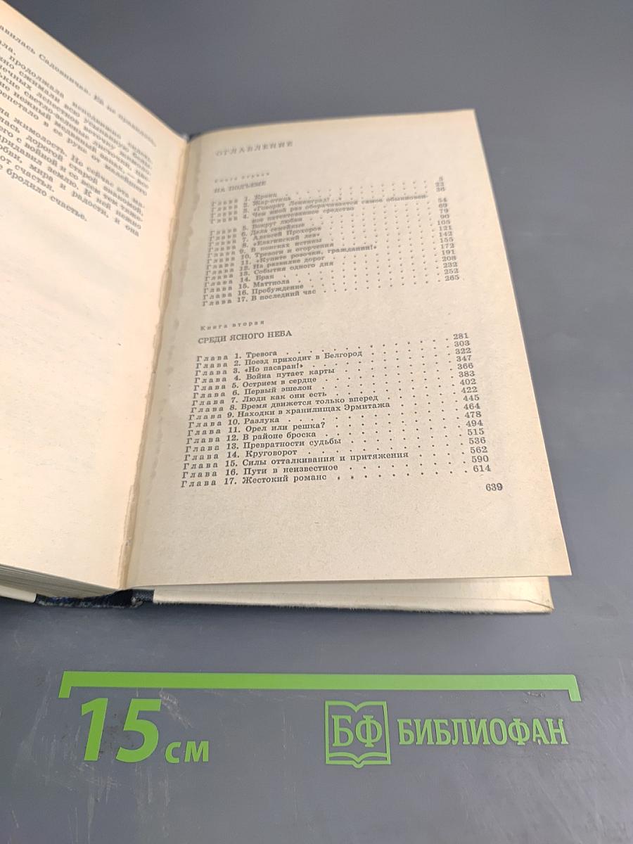 Пепел над городом