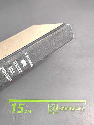 Пепел над городом