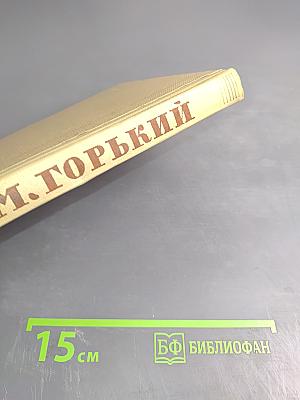 Собрание сочинений Том 14. Жизнь Клима Самгина