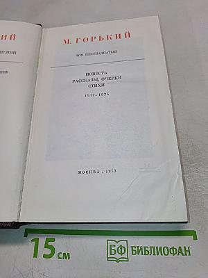 Собрание сочинений. Том 16: Повесть, Рассказы, Очерки, Стихи 1917–1924
