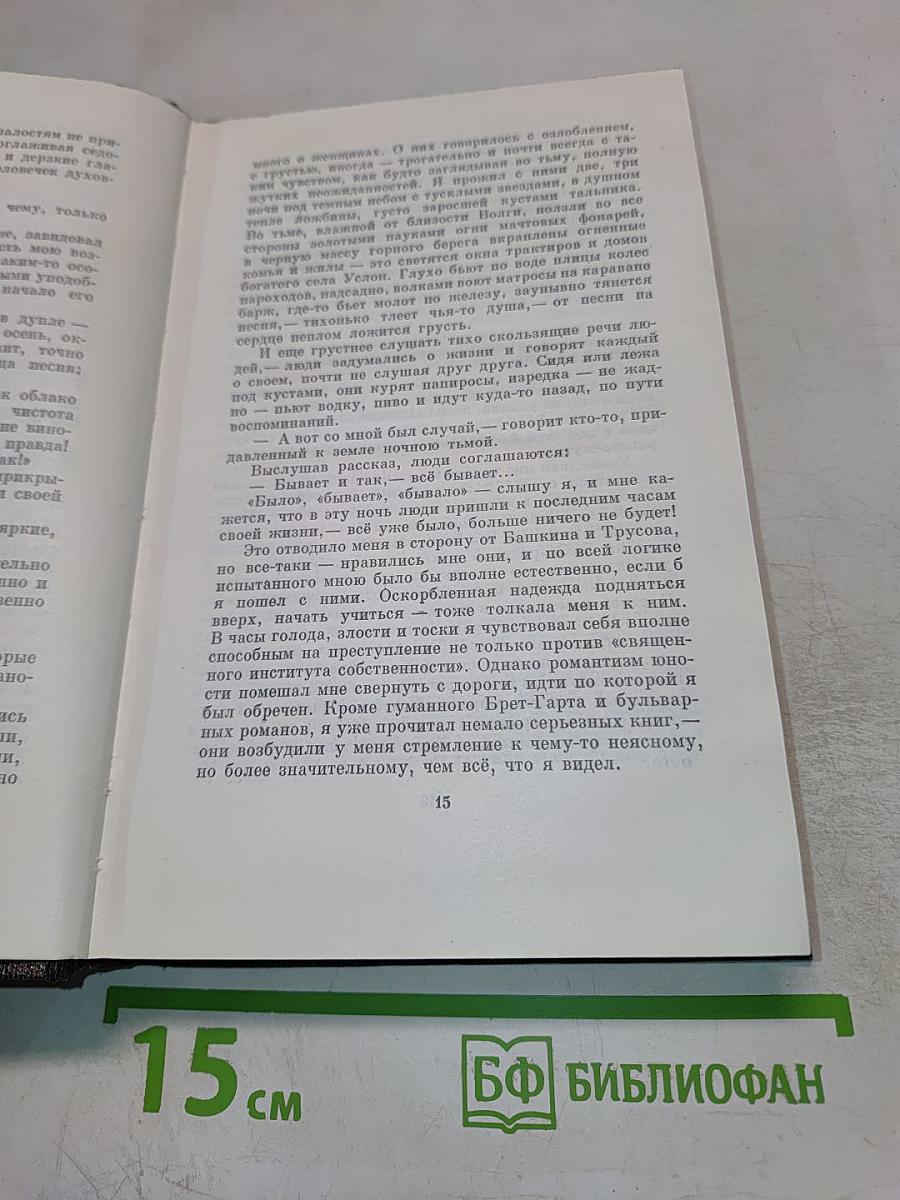 Собрание сочинений. Том 16: Повесть, Рассказы, Очерки, Стихи 1917–1924
