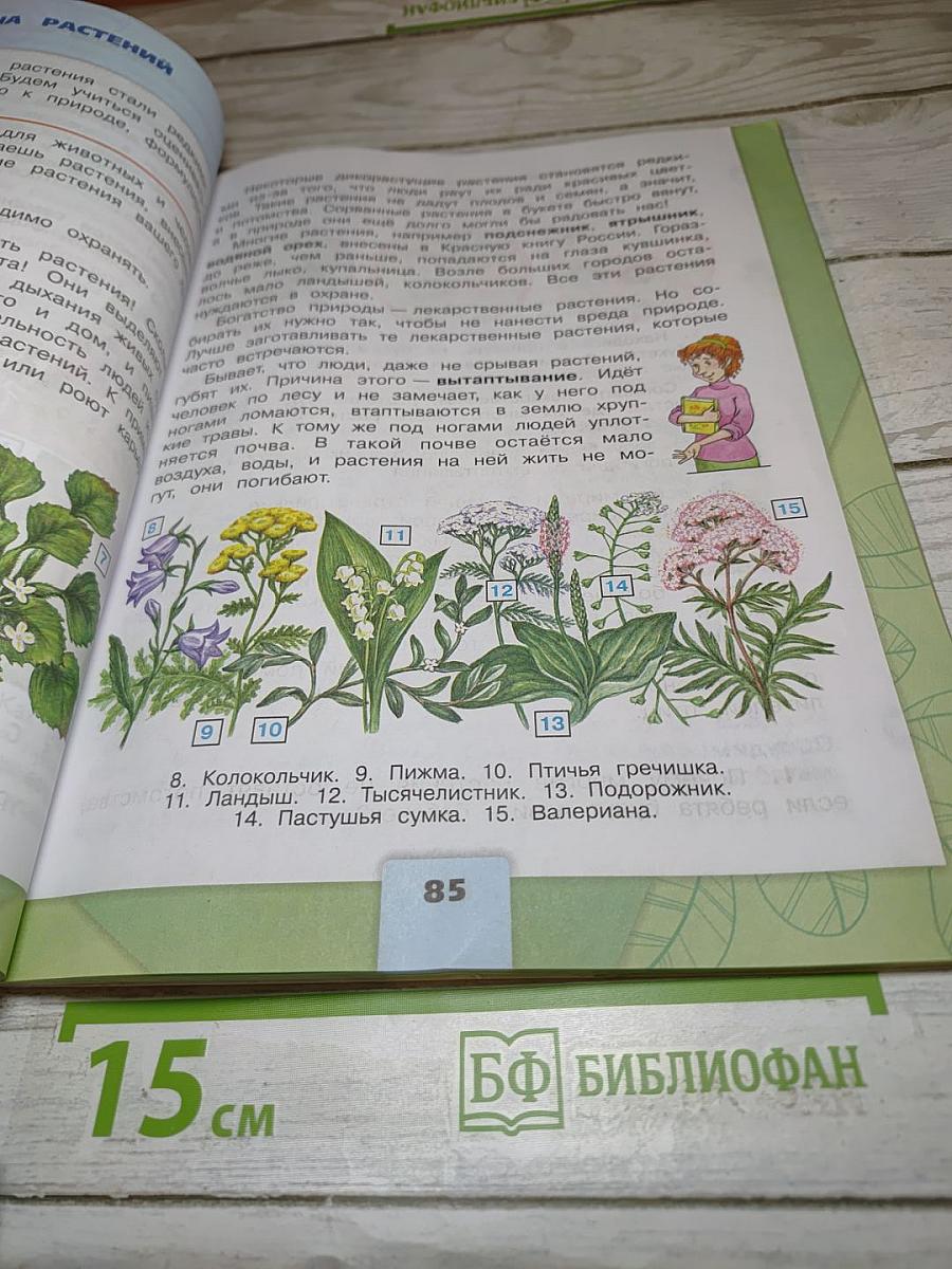 Окружающий мир 3 класс Часть 1
