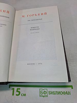 Художественные произведения. Том 15: Повести Наброски 1910-1915