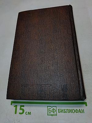 Художественные произведения. Том 15: Повести Наброски 1910-1915