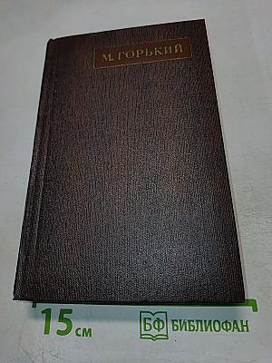Собрание сочинений. Том четырнадцатый: Повесть. Рассказы 1912-1917