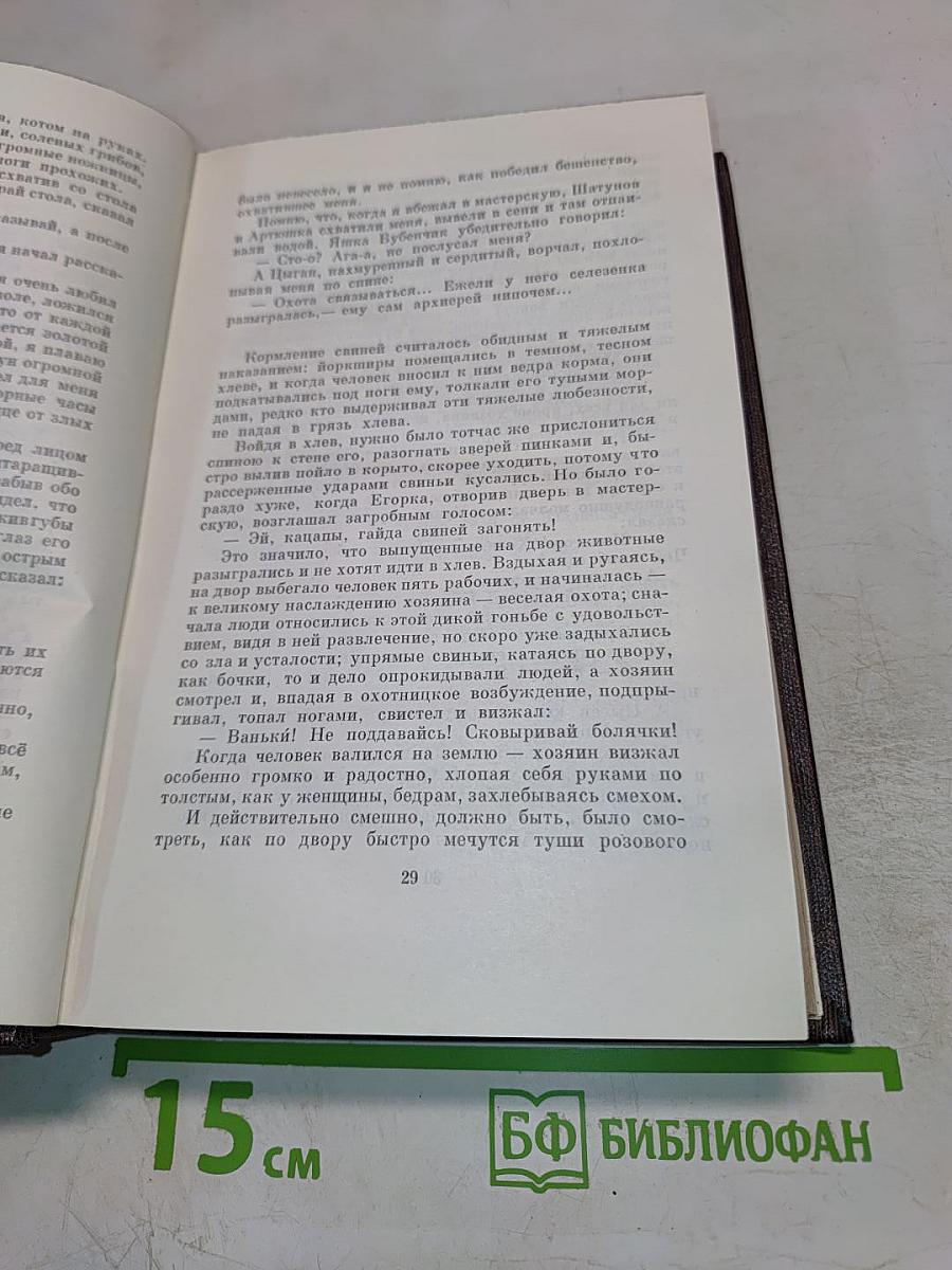 Собрание сочинений. Том четырнадцатый: Повесть. Рассказы 1912-1917