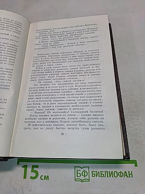 Собрание сочинений. Том четырнадцатый: Повесть. Рассказы 1912-1917