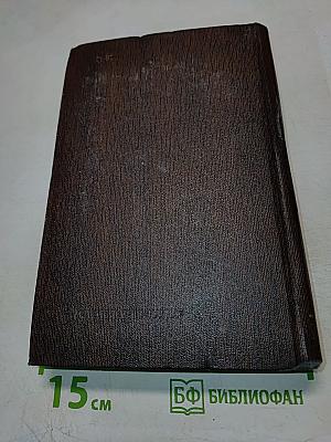 Собрание сочинений. Том четырнадцатый: Повесть. Рассказы 1912-1917