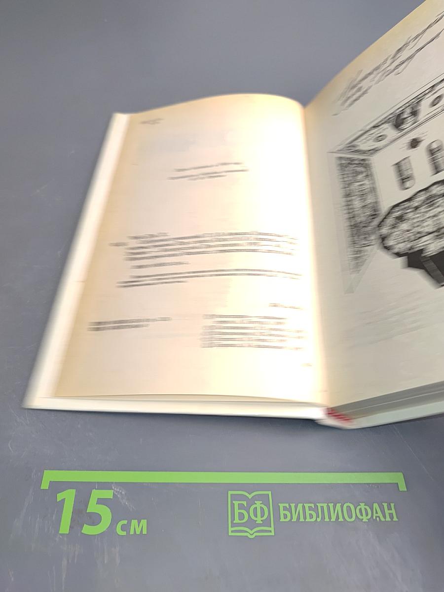 Алмазы Эсмальди. Том 13