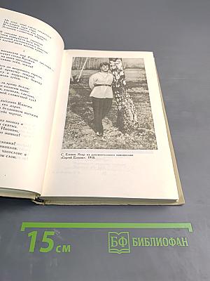 Собрание сочинений в трех томах. Том 2