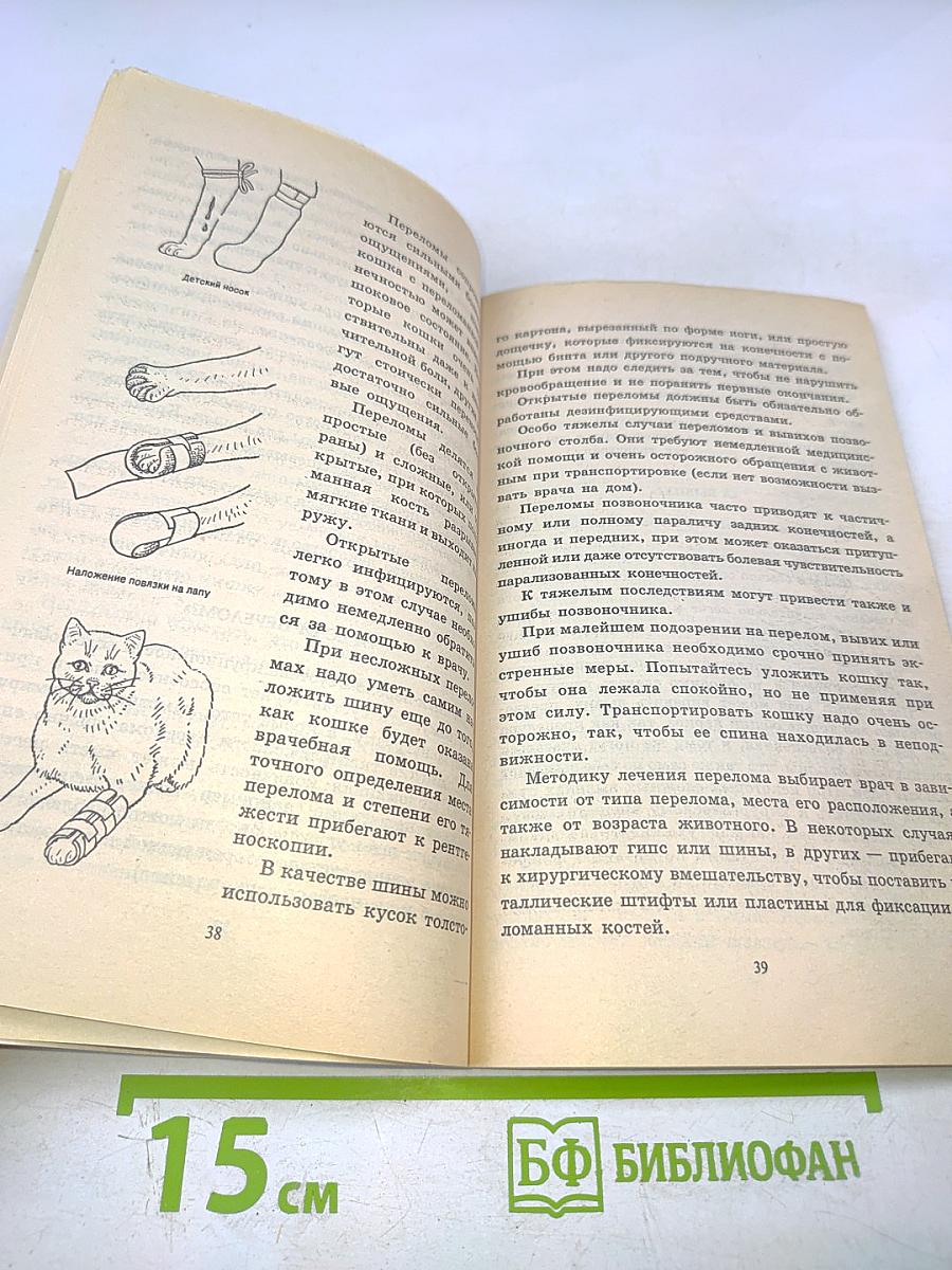 Если кошка заболела... Вопросы и ответы про здоровье наших мурок