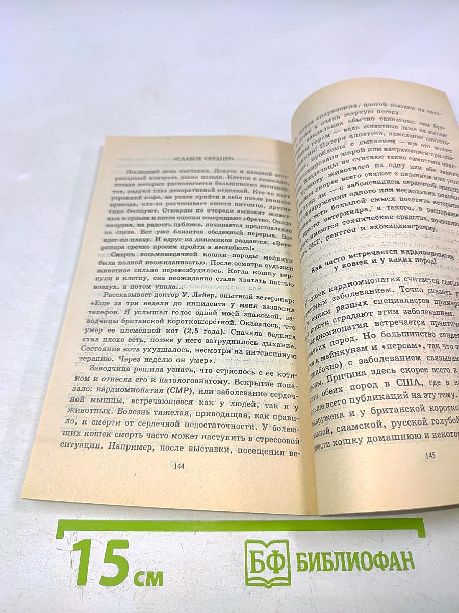 Если кошка заболела... Вопросы и ответы про здоровье наших мурок