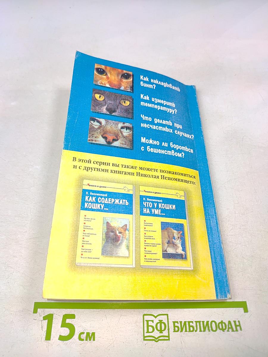 Если кошка заболела... Вопросы и ответы про здоровье наших мурок