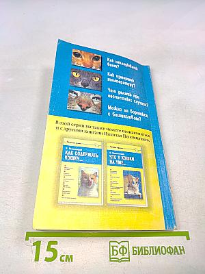 Если кошка заболела... Вопросы и ответы про здоровье наших мурок