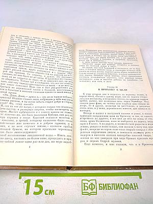 Похищенный