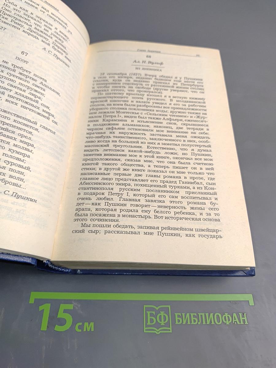 Жизнь Пушкина рассказанная им самим и его современниками. Том второй