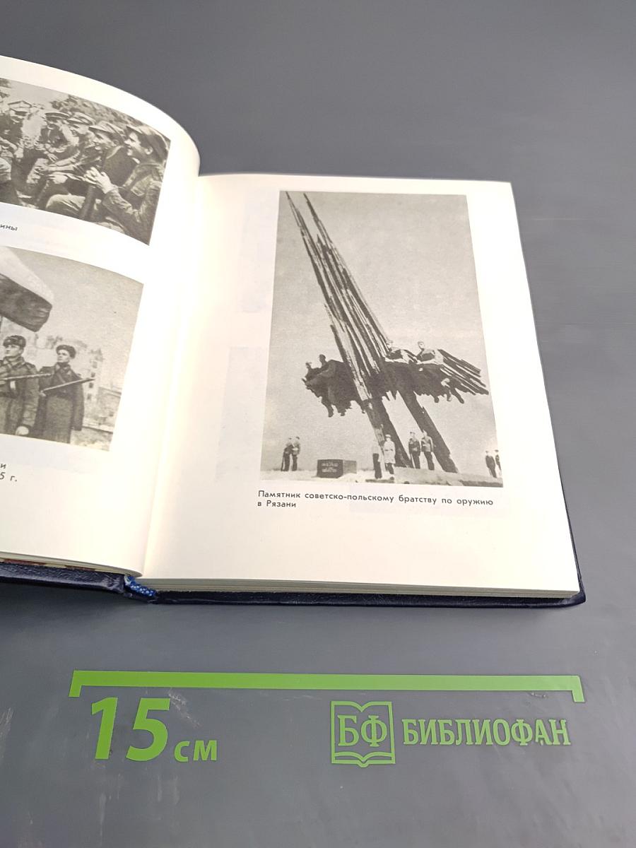 Мы будем бороться вместе: Очерки о бойцах-интернационалистах