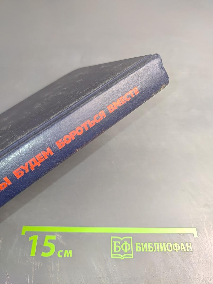 Мы будем бороться вместе: Очерки о бойцах-интернационалистах