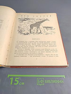 Гребень буйвола